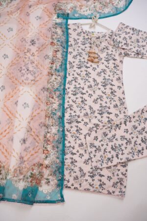 IMG-20241225-WA0024